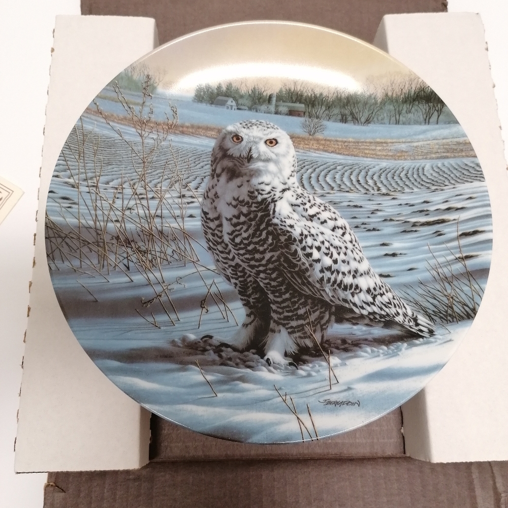 The Snowy Owl Collection Plate